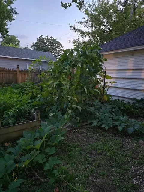 Exterior - 343 Evans Ave, Aurora, IL 60505 photo 13 of 13