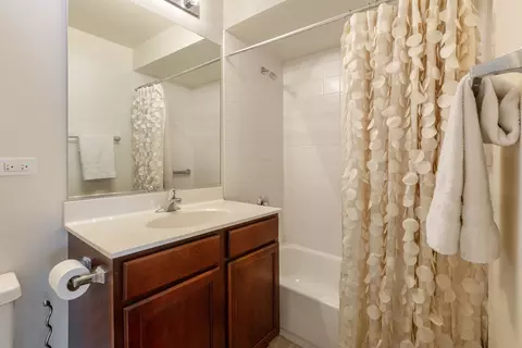 Bath - 326 E 18th St, Chicago, IL 60616 photo 1 of 3