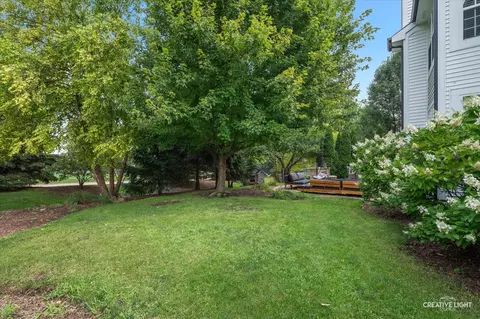 Other - 26414 Rustling Birch Way, Plainfield, IL 60585 photo 9 of 9