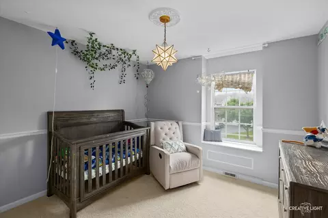 Other - 26414 Rustling Birch Way, Plainfield, IL 60585 photo 5 of 9