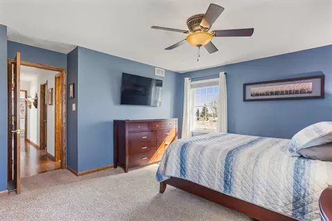 Bedroom - 101 E Mansfield St, Bement, IL 61813 photo 3 of 7