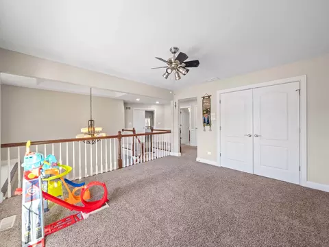 13203 Skyline Dr, Plainfield, IL 60585 photo 18