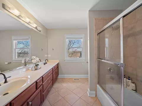 13203 Skyline Dr, Plainfield, IL 60585 photo 21