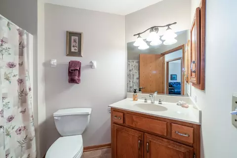 471 Linden Cir, Beecher, IL 60401 photo 8
