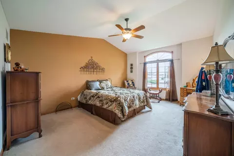 471 Linden Cir, Beecher, IL 60401 photo 10