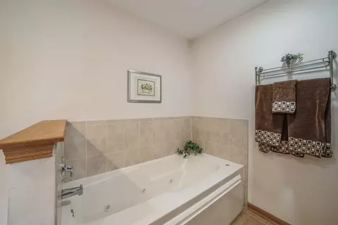 471 Linden Cir, Beecher, IL 60401 photo 12