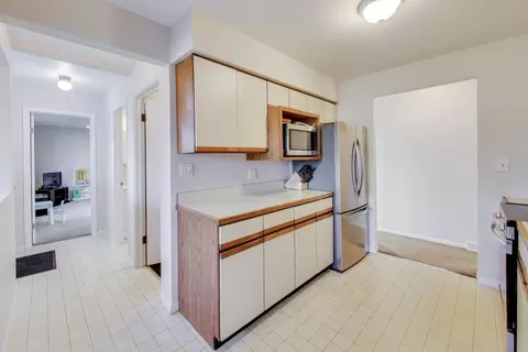 4 N405 2nd Ave, Addison, IL 60101 photo 7