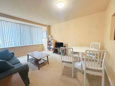 211 E Ohio St #1605, Chicago, IL 60611 photo 4
