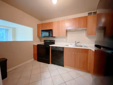 211 E Ohio St #1605, Chicago, IL 60611 photo 7