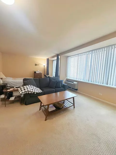 211 E Ohio St #1605, Chicago, IL 60611 photo 2