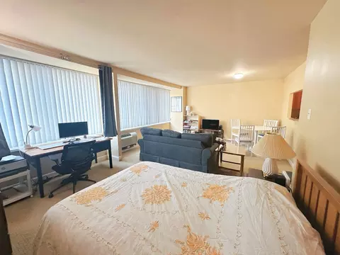 211 E Ohio St #1605, Chicago, IL 60611 photo 3