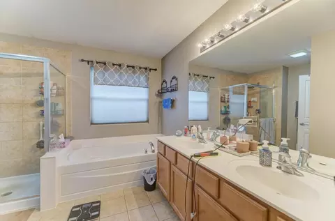 Bath - 12513 Blue Iris Ln, Plainfield, IL 60585 photo 2 of 3