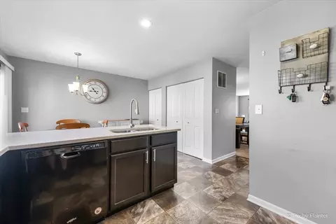 Entry Way - 1664 Ruby Dr, Pingree Grove, IL 60140 photo 2 of 2
