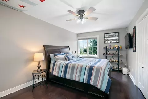 Bedroom - 24905 Chalk Hill Ct, Plainfield, IL 60544 photo 6 of 6