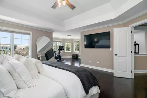 Bedroom - 24905 Chalk Hill Ct, Plainfield, IL 60544 photo 2 of 6