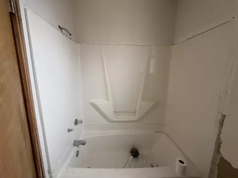 Bath - 431 W Cedar St, Ladd, IL 61329 photo 1 of 2