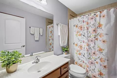 Bath - 12002 Ashbrook Ln, Mokena, IL 60448 photo 4 of 4