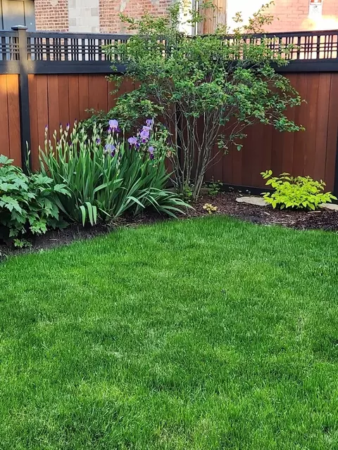 Exterior - 9031 Fairview Ave, Brookfield, IL 60513 photo 9 of 10