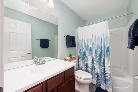 Bath - 240 Devoe Dr, Oswego, IL 60543 photo 3 of 3