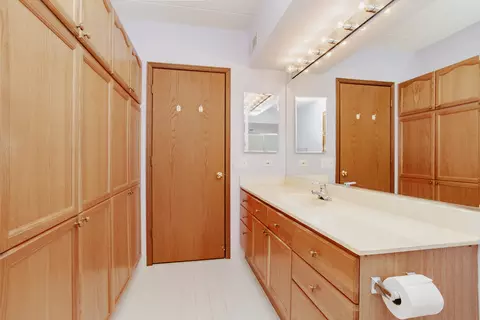 Bath - 1685 Mill St #409, Des Plaines, IL 60016 photo 1 of 3