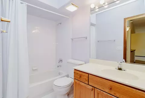 Bath - 1685 Mill St #409, Des Plaines, IL 60016 photo 3 of 3