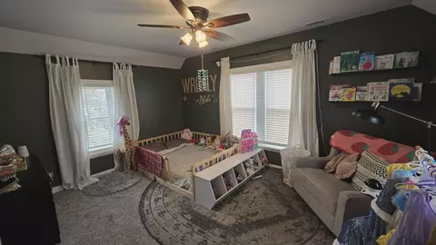 311 S Third St, Peotone, IL 60468 photo 25