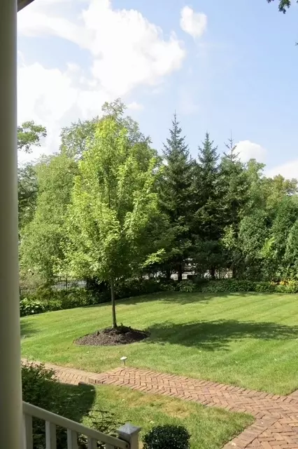 Exterior - 875 Gordon Ter, Winnetka, IL 60093 photo 15 of 21