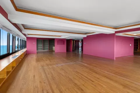 Living - 175 E Delaware Pl #8401-02, Chicago, IL 60611 photo 8 of 13
