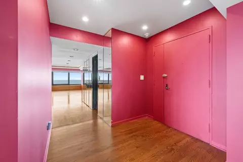 Other - 175 E Delaware Pl #8401-02, Chicago, IL 60611 photo 5 of 10