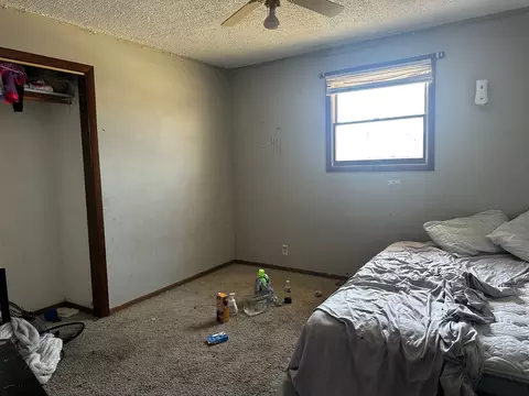 Bedroom - 805 W Helen Ave, Christopher, IL 62822 photo 5 of 5