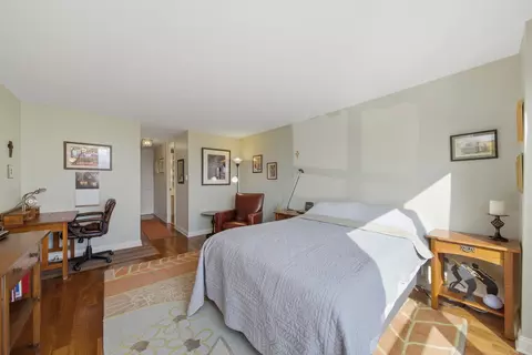 Bedroom - 360 E Randolph St #2902, Chicago, IL 60601 photo 4 of 4