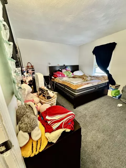 Other - 11345 S Ada St, Chicago, IL 60643 photo 3 of 7