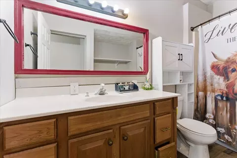 Bath - 301 N 2nd Ave, Chenoa, IL 61726 photo 1 of 1