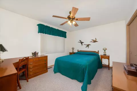 Bedroom - 5103 W Park Ln, Monee, IL 60449 photo 3 of 7