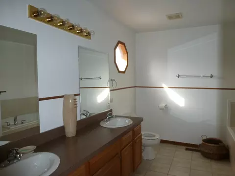 Bath - 16212 Trumbull Ave, Markham, IL 60428 photo 4 of 5