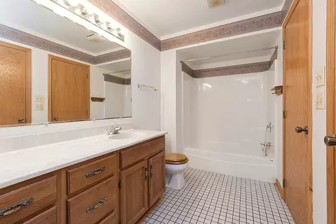 Bath - 10291 Cambridge Dr, Mokena, IL 60448 photo 2 of 3