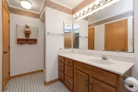 Bath - 10291 Cambridge Dr, Mokena, IL 60448 photo 1 of 3
