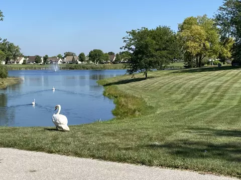 View/Area - 21365 Silktree Cir, Plainfield, IL 60544 photo 2 of 3