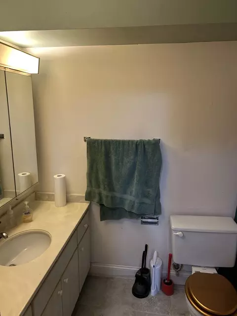 1500 Robin Cir #314, Hoffman Estates, IL 60169 photo 7