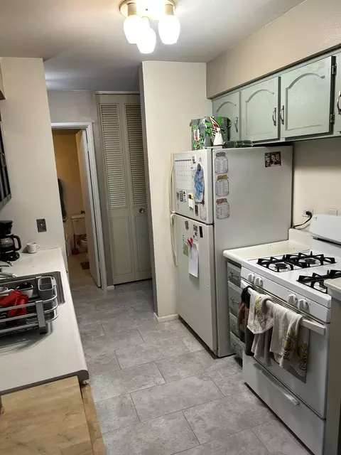 1500 Robin Cir #314, Hoffman Estates, IL 60169 photo 5