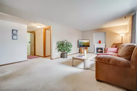 Living - 45 Denise Ct, Matteson, IL 60443 photo 3 of 3