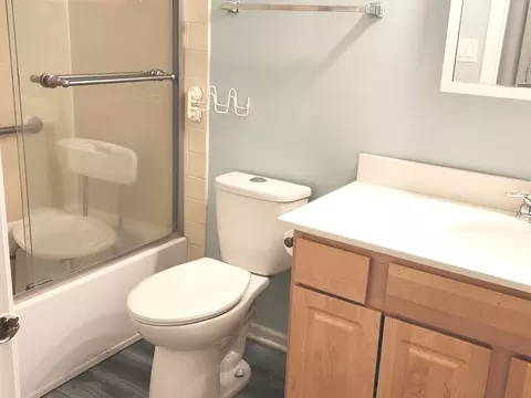 Bath - 406 College Xing, Rolling Meadows, IL 60008 photo 3 of 4