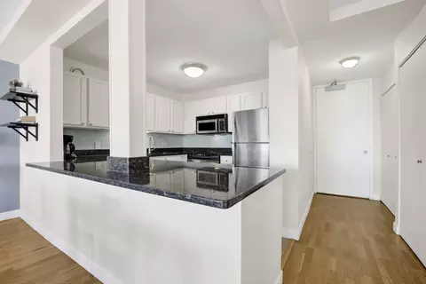 30 E Huron St #5201, Chicago, IL 60611 photo 3