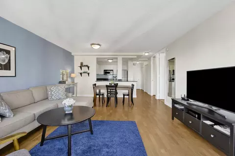 30 E Huron St #5201, Chicago, IL 60611 photo 10