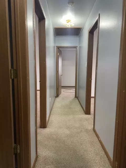 Entry Way - 910 E 152nd Pl, Phoenix, IL 60426 photo 3 of 3