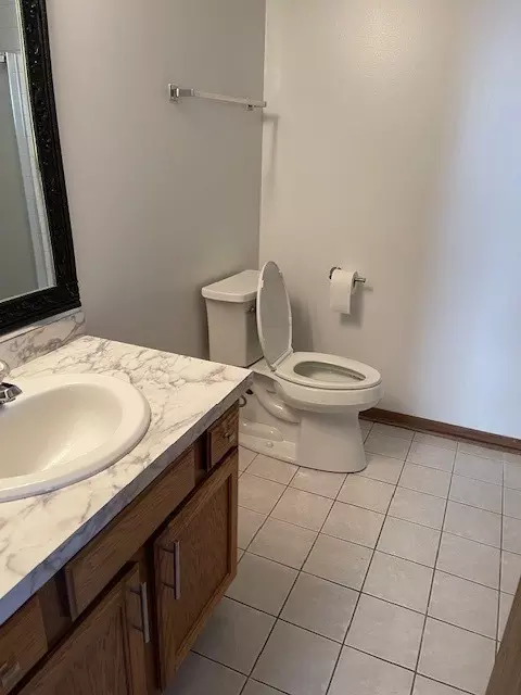 Bath - 910 E 152nd Pl, Phoenix, IL 60426 photo 3 of 8