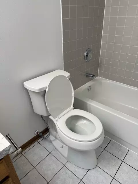 Bath - 910 E 152nd Pl, Phoenix, IL 60426 photo 5 of 8