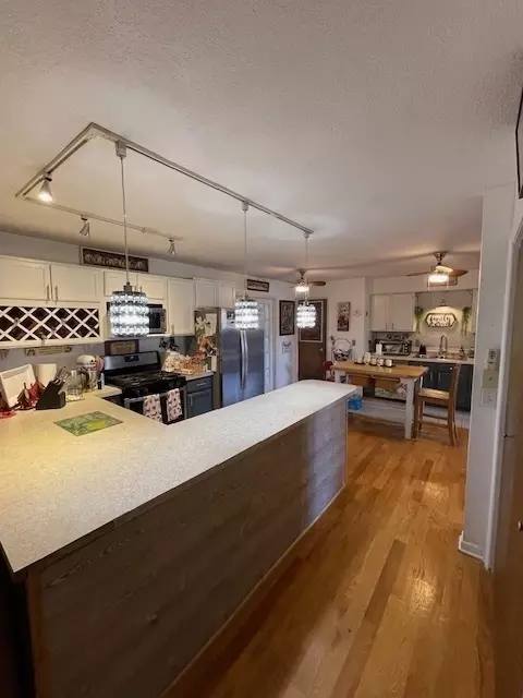 Kitchen - 406 S Comet Dr, Braidwood, IL 60408 photo 4 of 4