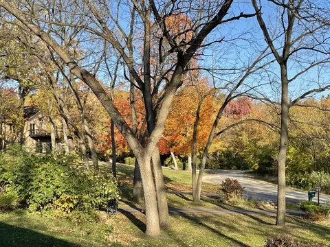 Exterior - 1126 Crane Dr, Sleepy Hollow, IL 60118 photo 10 of 12