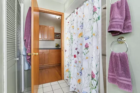 Bath - Undisclosed, Oak Forest, IL 60452 photo 2 of 3